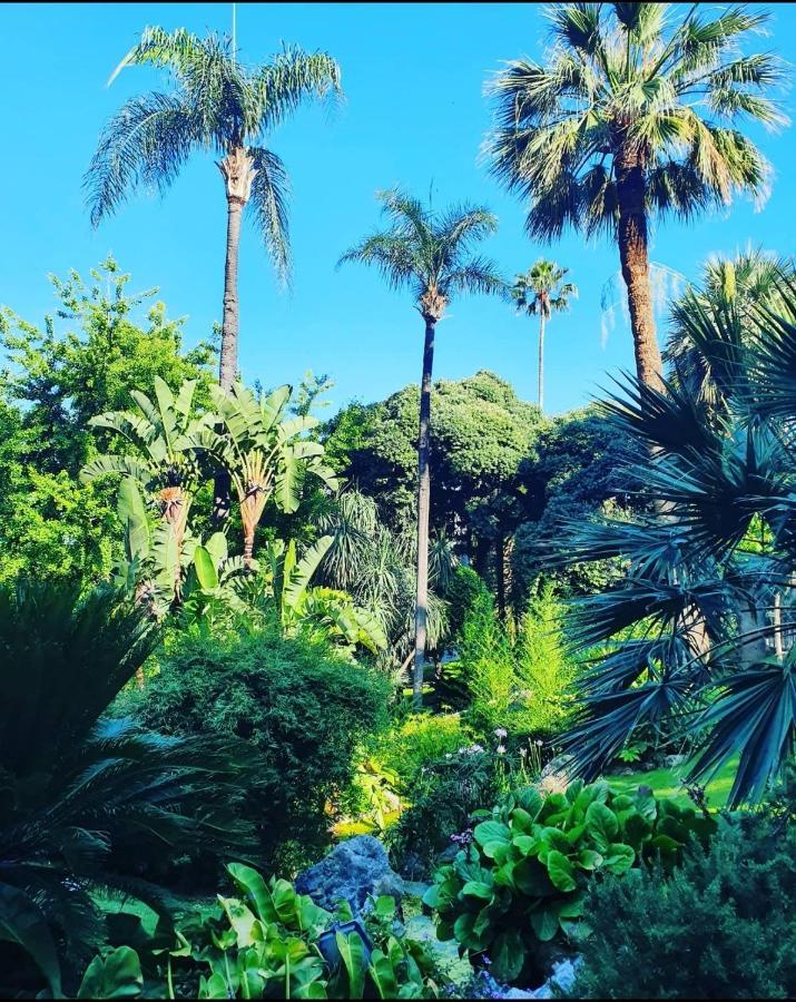 Home For 2 Few Steps From Casino Monte Carlo And Beach Beausoleil Esterno foto